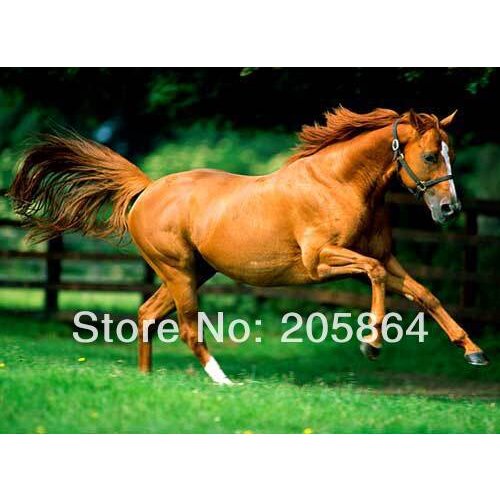 Free shipping Middle size wall home decor picture,running horse,Oil painting style Fabric Home decoration wall Pictures