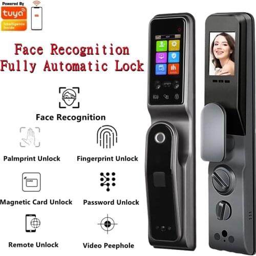 TUYA WIFI Mobile Phone Face Recognition Fingerprint Vein Palm Print With Camera Home Outdoor Electric Deadbolt Smart Door Lock