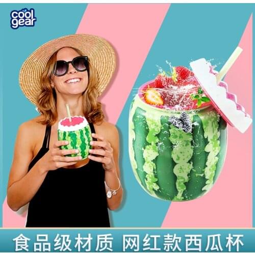 Watermelon Plastic Cup Summer Water Cup Cooler Kettle Net Red Fruit Creative Gift Custom Wholesale Double Straw Cup