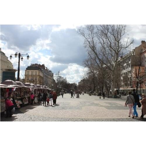 Bratislava Street Scene Jigsaw Puzzle 1000 Pieces Childrens Hands-On Wooden Educational Toys