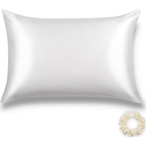 Natural Silk Pillowcase, Hypoallergenic, 19 Momme, 600 Thread Count 100 Percent Mulberry Silk, Queen Size with Hidden Zipper