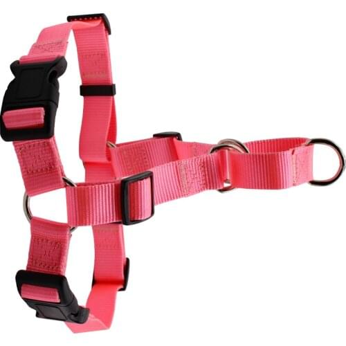 Nylon Easy Walk Dog Harness No Pull Dog Harness Perfect for Leash & Harness Training