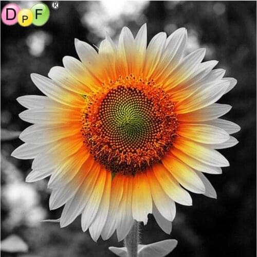 DPF Diamond Embroidery white flower wall Diamond Painting Cross Stitch Square diamond Mosaic kit Needlework home Decor picture