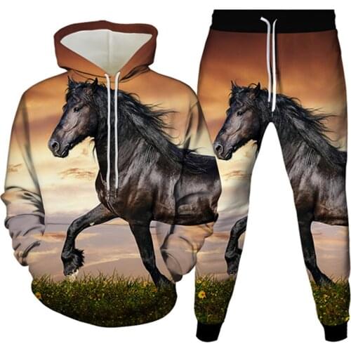 Harajuku Style Men Clothes Sets Animal Horse Galaxy Moon Fire Printed Tracksuit Suits Women Casual Trousers+Hoodies 2Pcs S-6XL