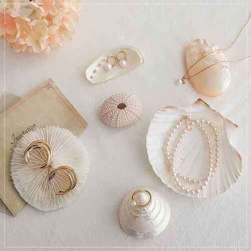 Shell decoration photography accessories photography Retro Props Birthday Party decorations props