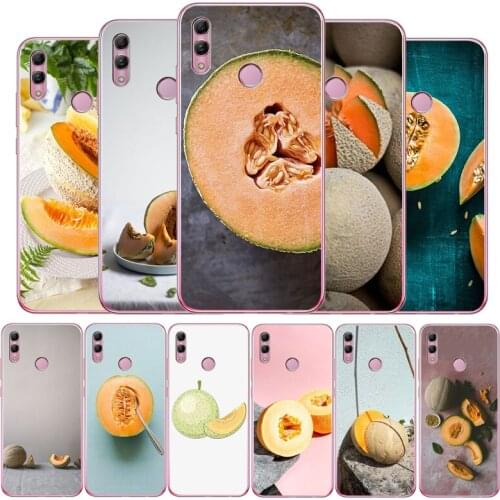 Hami melon For Huawei Mate 9 10 20 30 Pro lite Phone for honor 9 V9 10 20 30 Lite Pro V10 soft Back Cover