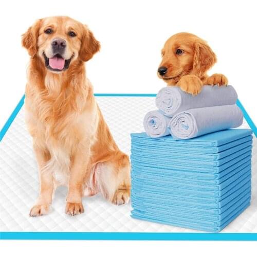 Super Absorbent Pet Diaper Dog Training Pee Pads Disposable Healthy Nappy Mat For Cats Dog Diapers Cage Mat Pet Supplies