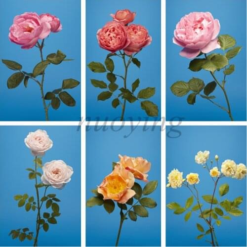 Rose Flower 5d Diy Diamond Painting Flower Diamond Mosaic Square Diamond Embroidery Cross Stitch Needlework Home Wall Decoration