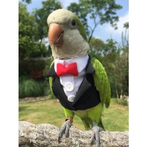 Coat clothing parrot clothing bird supplies autumn and winter thickened heating supplies flying suit pocket one-piece suit