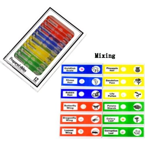 Biological Specimen Animals Hair Plants Insects Vegetables 12pcs/set Microscope Slides for Children Student Microscope Sample