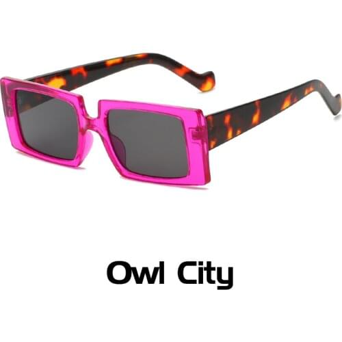 New Brand Sqaure Sunglasses Women Fashion Leopard Print Sun Glasses Men Vintage Eyewear Ladies Traveling Style UV400 Goggles