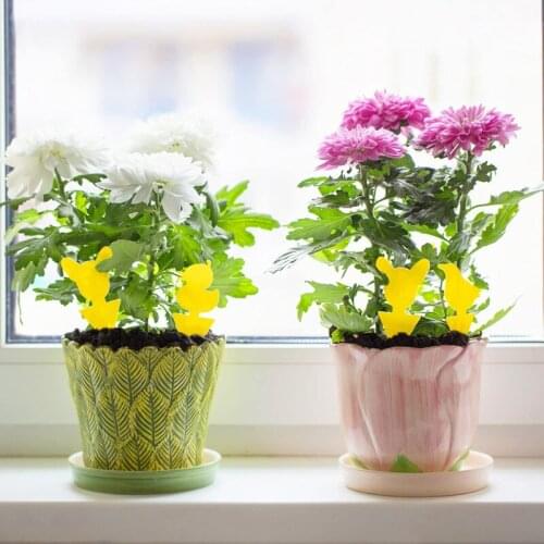 Mosqueda Yellow Fruit Fly Sticky Traps (Bird & Dog & Duck)