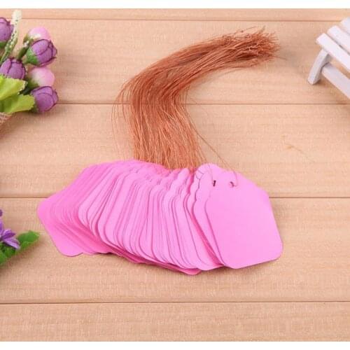 100Pcs/lot Plants Hang Tag Labels Seedling Garden Flower Pot Plastic Tags Number Plate Hanging Reusable PVC Garden Tools