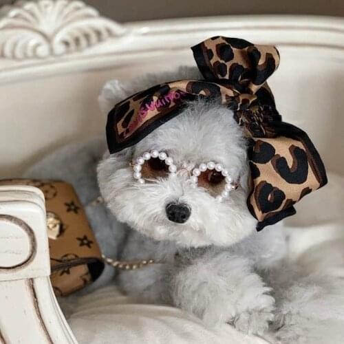 Pearl Dog Sunglasses For Dogs Cats Pet Accessories Glasses Lovely Vintage Round Cat Sunglasses Reflection For Small Dog Puppy