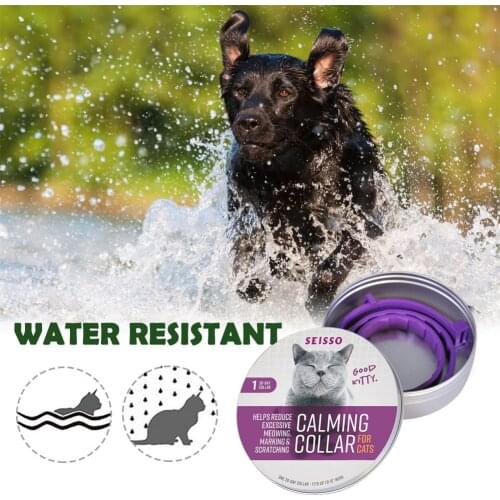 8 Month Flea Tick Collar For Dogs Cats Pet Adjustable Dog Collar Waterproof Cat Dog Collar Cute Dog Cat Products Pet Accessories