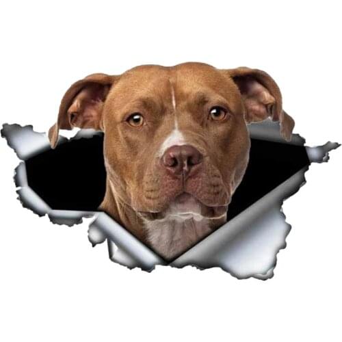 B0110 Self-adhesive Decal Pitbull V6 Car Sticker Waterproof Auto Decors on Bumper Rear Window