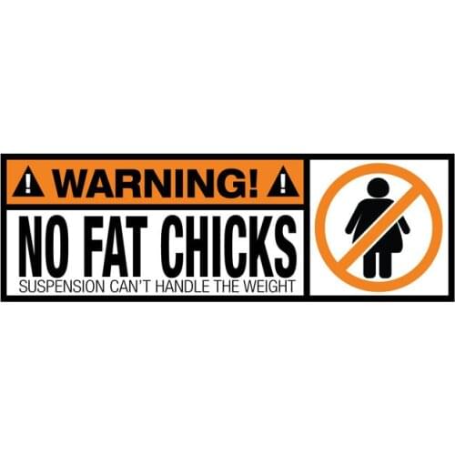 PLAY COOL WARNING Funny No Fat Chicks Car Sticker Automobiles Motorcycles Exterior Accessories PVC Decal,19cm*6.4cm