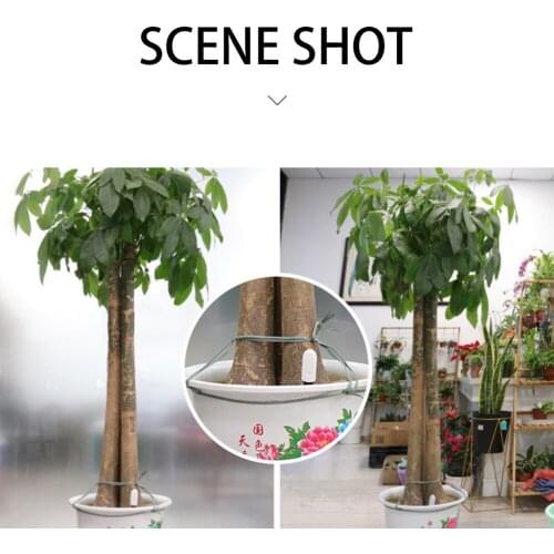 Soil Water Monitor Meter Test Kit Hygrometer Waterproof Gardening Pot Moisture for Household Garden Grass Supply