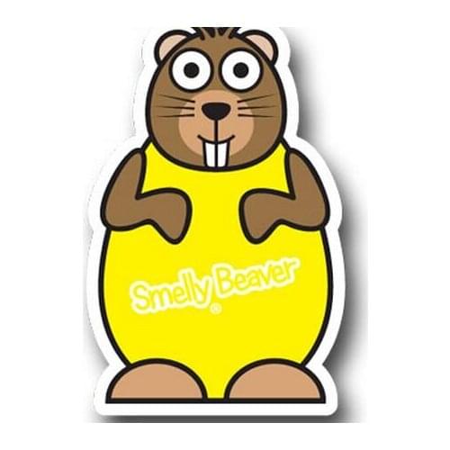 2017 Hot-selling flag car air freshener no MOQ