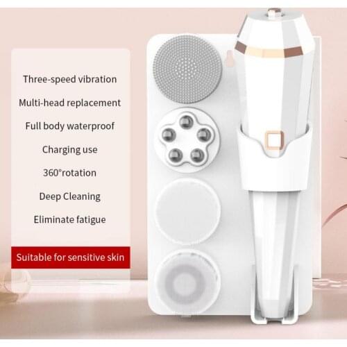 Sace Lady Electric Face Brushes