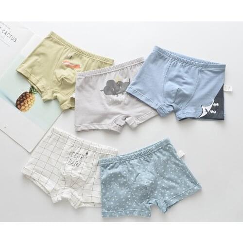 HPBBKD 5pcs/lot Kids Boys Underwear Cartoon Childrens Shorts Panties for Baby Boy Boxers Panty Teenager Underpants 2-14T BU038