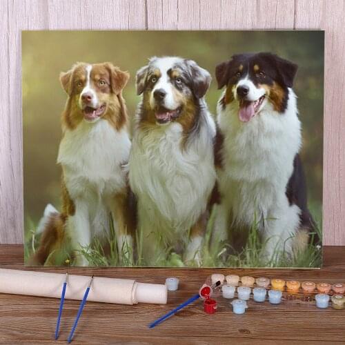 Animal Border Collie Coloring By Numbers Painting Kit Oil Paints 50*70 Boards By Numbers Home Decoration For Handicraft
