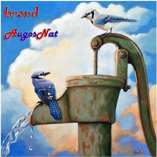 5d diy diamond painting full birds embroidery mosaic stickers diamond dotz rhinestone picture puzzle drawing wall decor craft