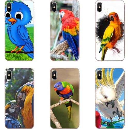 For Apple iPhone 4 4S 5 5C 5S SE SE2020 6 6S 7 8 11 Plus Pro X XS Max XR Soft TPU Phone Cases Anime Birds Parrot Wallpaper
