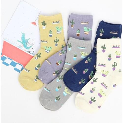 Adult Size Cacti Socks Fashion Daily Plant Ball Cactus Harajuku Lilac Lemon Fleshy Succulents Girlfriend Present Garden Soft Sox
