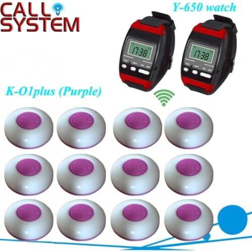 Wireless Calling Waiter Paging System 2pcs y-650 Wrist Watch Pager and 12 pieces K-O1-plus Buttons free DHL shipping