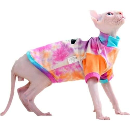 Cornish/Deven Rex T Shirt Summer Hairless Cat Clothes for Sphinx Hoodie Shirt for Small Medium Cats Dog Rainbow Design Clothing