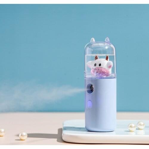 30ml Mini Nano Facial Sprayer USB Nebulizer Face Steamer Humidifier Beauty Skin Care Tools Home Liquid Air Fresheners Dropship