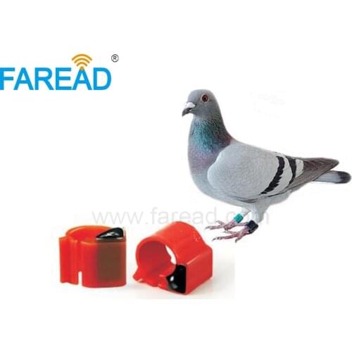 Free shipping x100pcs ISO11784/5 FDX-B ABS EM4305 134.2KHz Electronic RFID Animal Tag RFID pigeon Ring for racing tracking