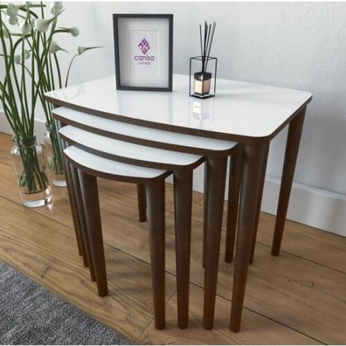 New Modern Canisa Concept Telwe Series Mdf 4'lü Zigon Coffee table Set/white-Walnut Floor Standing coffe table table basse
