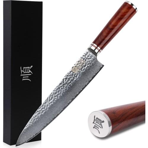 SUNLONG Gyuto 10 inch Pro Chefs Knives Japanese Hammered Damascus Bloodwood Handle