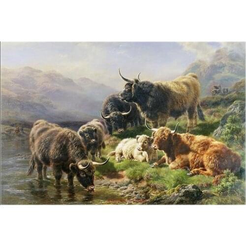 Counted Cross Stitch Kits Needlework Embroidery - Crafts 14 ct Aida DMC Color DIY Arts Handmade Home Decor - Highland Cattle