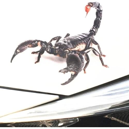 Car Sticker 3D Decals Realistic Animal Spider/Lizard/Scorpion for Ford Focus Fusion Escort Kuga Ecosport Fiesta Falcon EDGE
