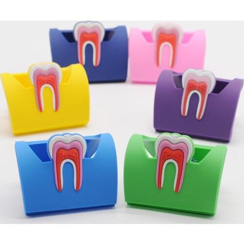Dental Cute Card Holder Colorful Rubber Teeth Molar Shape Phone Card Name Storage Dsiaply Stand Dentist Gift