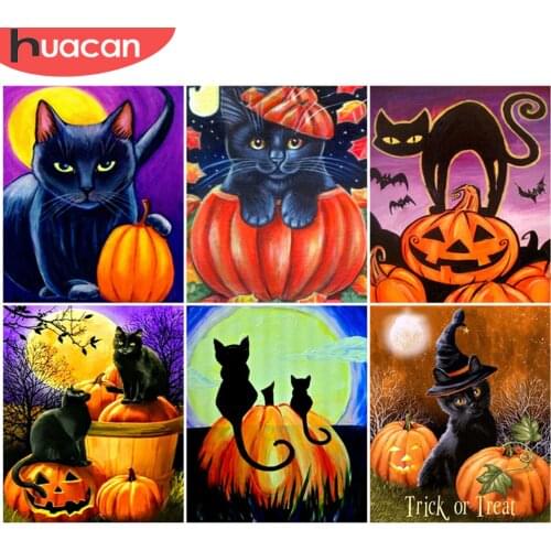 HUACAN DIY Paint By Number Cat Hand Painted Painting Art Drawing On Canvas Gift Pictures By Numbers Pumpkin Kits Home Decor
