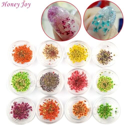 12bottles 3D Real Dried Dry Flower Nail Art Decoration UV Gel Nails Stickers Nails Manicure Tips Decals with 12 Different Colors
