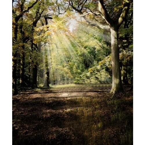 TR Sunshine Autumn Forest Wedding Children Custom Photography Studio Vinyl Cloth Backdrops Photo Backgrounds