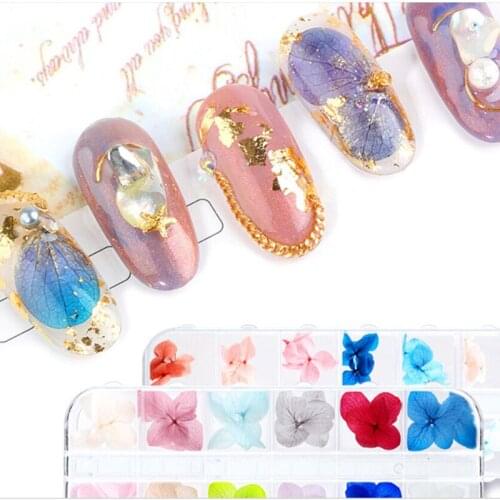 Pressed Dried Flower Nail Decoration Dry Plants For Epoxy Resin Nail Sticker Jewelry Making Craft DIY Nail