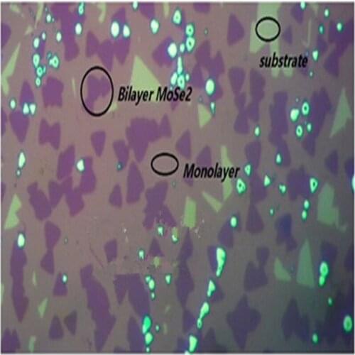 Molybdenum diselenide 02: sapphire substrate MoSe/2Single side polishing / double side polishing