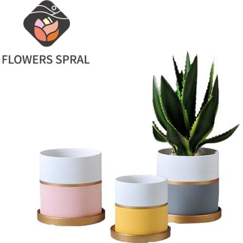 Nordic Gold Silk Light Luxury Flower Pot With Golden Tray Succulent Green Plants Tiger Skin Mint Garden Ceramic Flower Pot