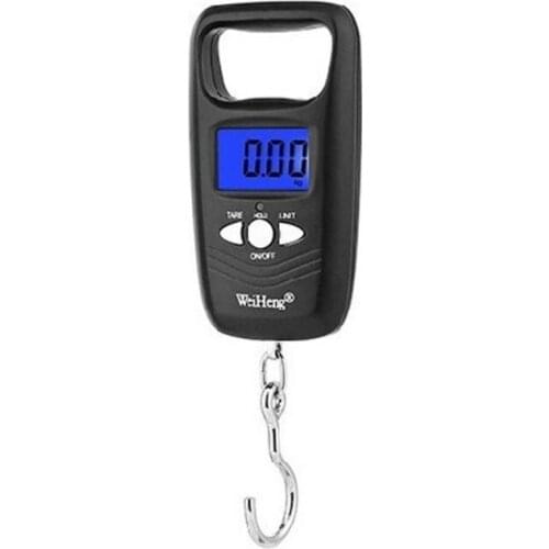 Mini Electronic Portable Scale Fishing Spring Electronic Scale Express Luggage Scale 50 kg