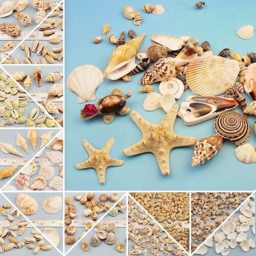 100g Shell Patch Conch Accessories Diy Handmade Particle Material Creative Childrens Educational Gift School Creation Toy
