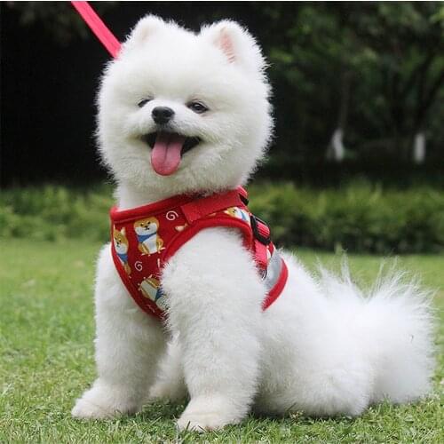 Small Dog Harness Leash Set Cartoon Printed Dog Vest with Pull Rope Nylon Lead Puppy Yorkies French Bulldog Walking Training