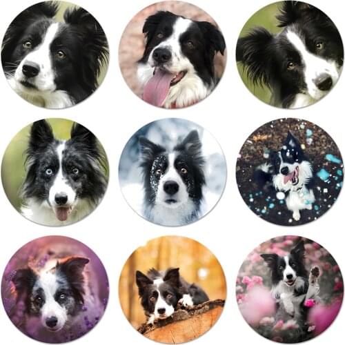 Beautiful Border Collie Puppy Dog Icons Pins Badge Decoration Brooches Metal Badges For Backpack Decoration 58mm