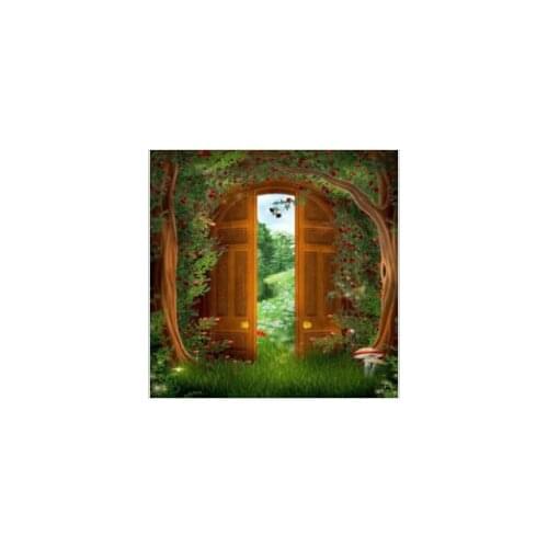 Mysterious door Diamond mosaic needlework Wall art decor Picture Embroidery with diamonds Painting by numbers rhinestones Y568