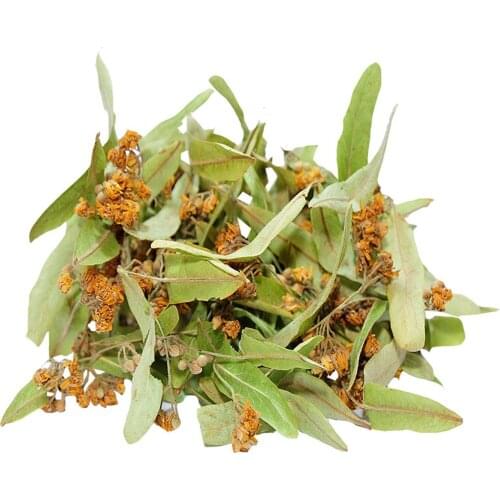 Can Be Dried leaf linden Herbal Tea 50Gr-400gr Free Shipping